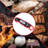 Royal Gourmet Digital Meat Thermometer