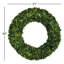Boxwood Wreath-1919842297