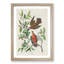Lenaida Doves by John James Audubon - Picture Frame Painting Print-55582775-55582778