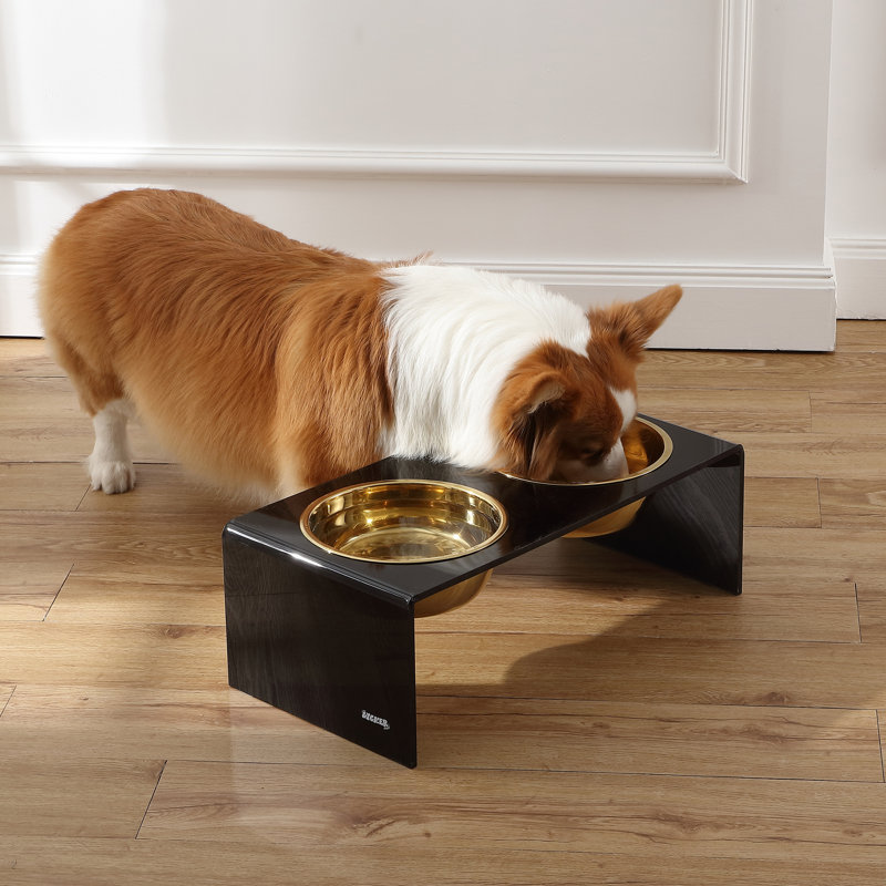 Keaton 7.5" Black and Gold Modern Elevated Pet Feeder with Stainless Steel Bowls