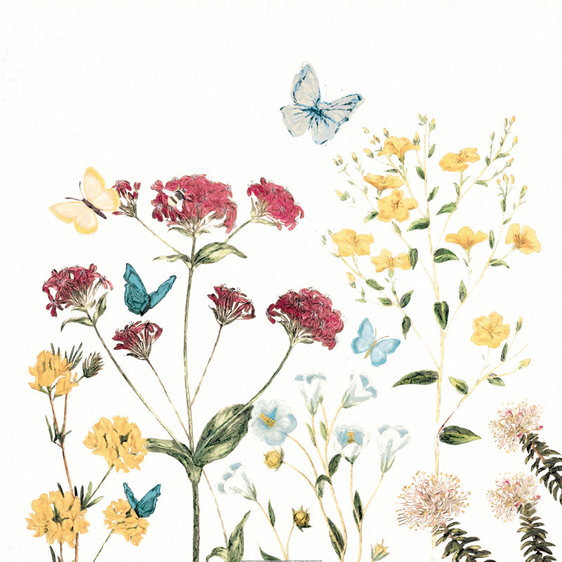 Wild Flowers With Butterflies - Wrapped Canvas Painting, 30cm H x 30cm W x 3.8cm D