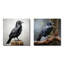 Mysterious Raven Guardian I - Raven-102677679