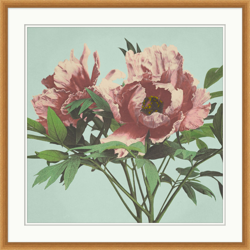 Floral rose sur turquoise 4 - Peinture avec cadre photo