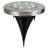 Solar LED Luminary & Pathway Lights