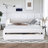 Twin Upholstered Extendable Daybed With Trundle, 2 Drawers-1249440470