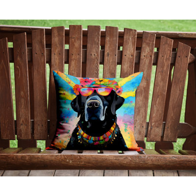  Other/No Pattern Throw Pillow