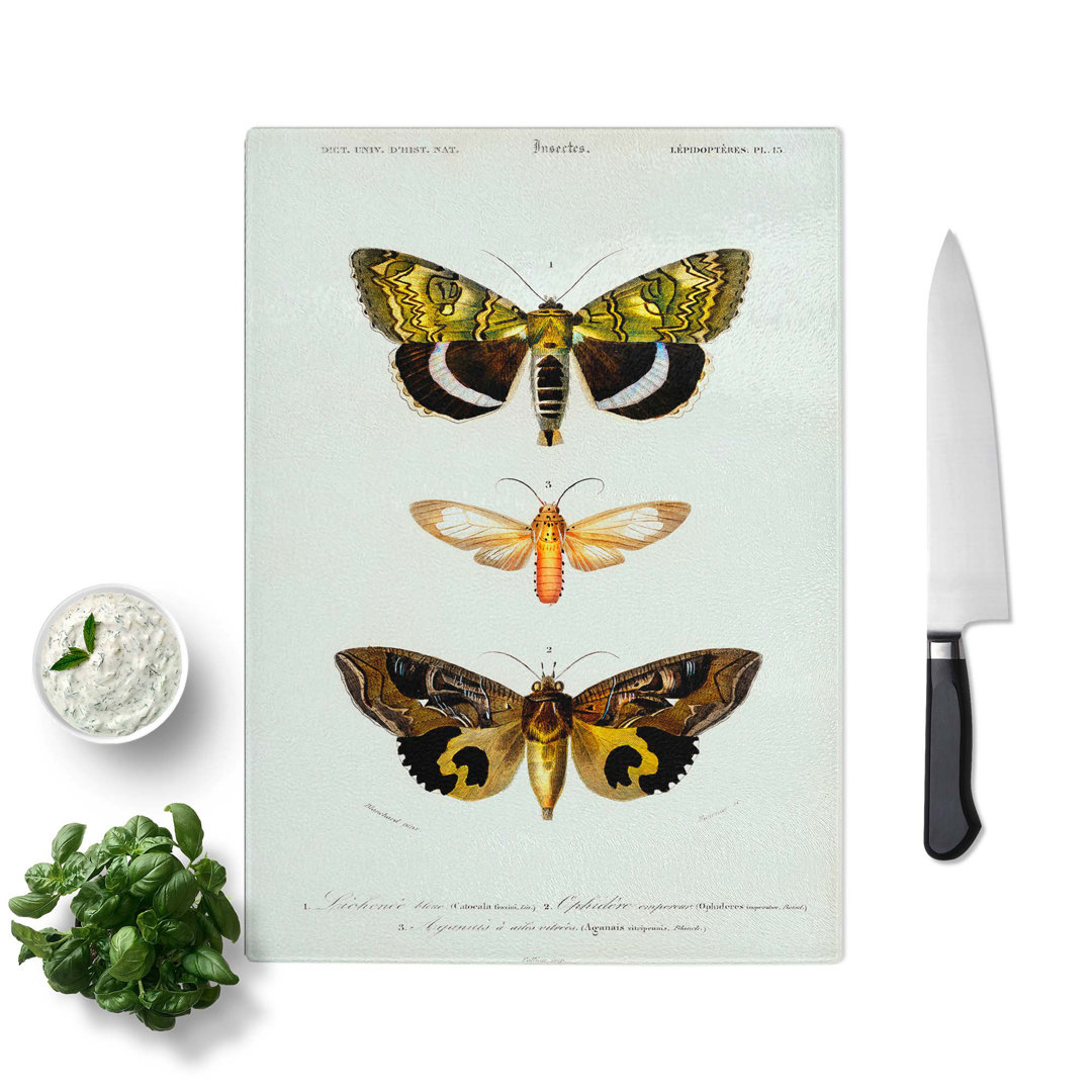 Glass Moth Illustrations Pl.18 by Charles D' Orbigny Chopping Board