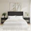 Tête de lit double / grand cannelée 65W avec ensemble de 2 tables de chevet, mobilier de chambre-401119435