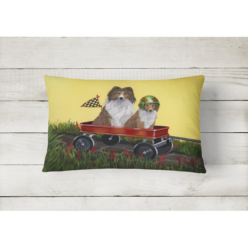 Outdoor Throw Pillow, Sheltie Sheepdog Express