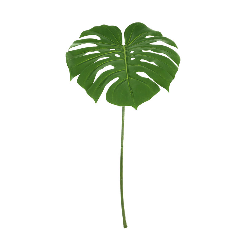 Philodendron Stem (Set of 2)