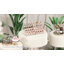 Tray-536181389