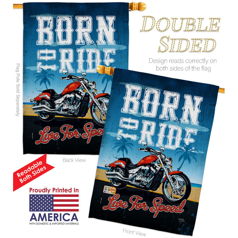 Double Sided 40'' H x 28'' W Polyester House Flag