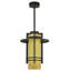 228 - Light LED Pendant
