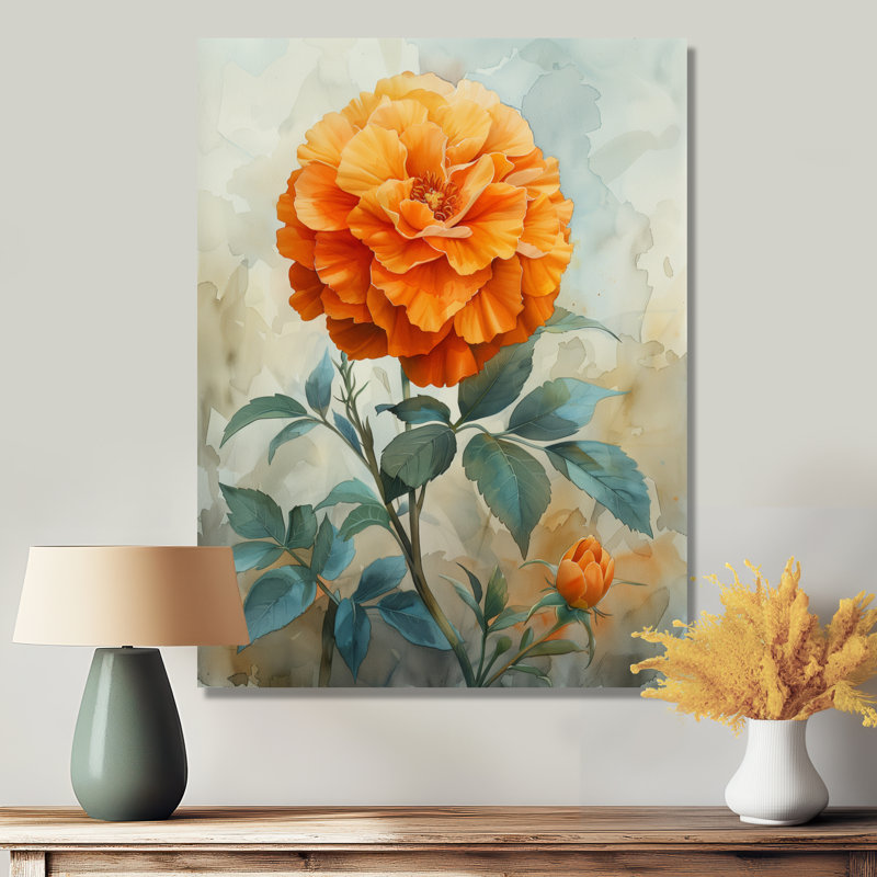Orange orange, fleur parfumée, souci I - impression murale souci, H 34 po x l 44 po, Toile tendue