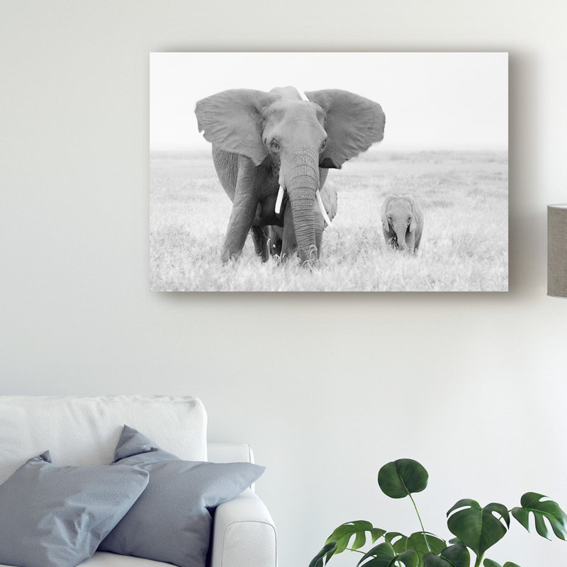 «Stay Away» par John Fan - reproduction de photo sur toile, H 30 po x l 47 po x P 2 po