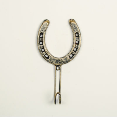 Spurrier Metal Wall Mounted Required Wall Hook
