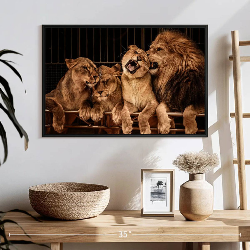 Brampt, fierté des lions, H 17 po x l 25 po