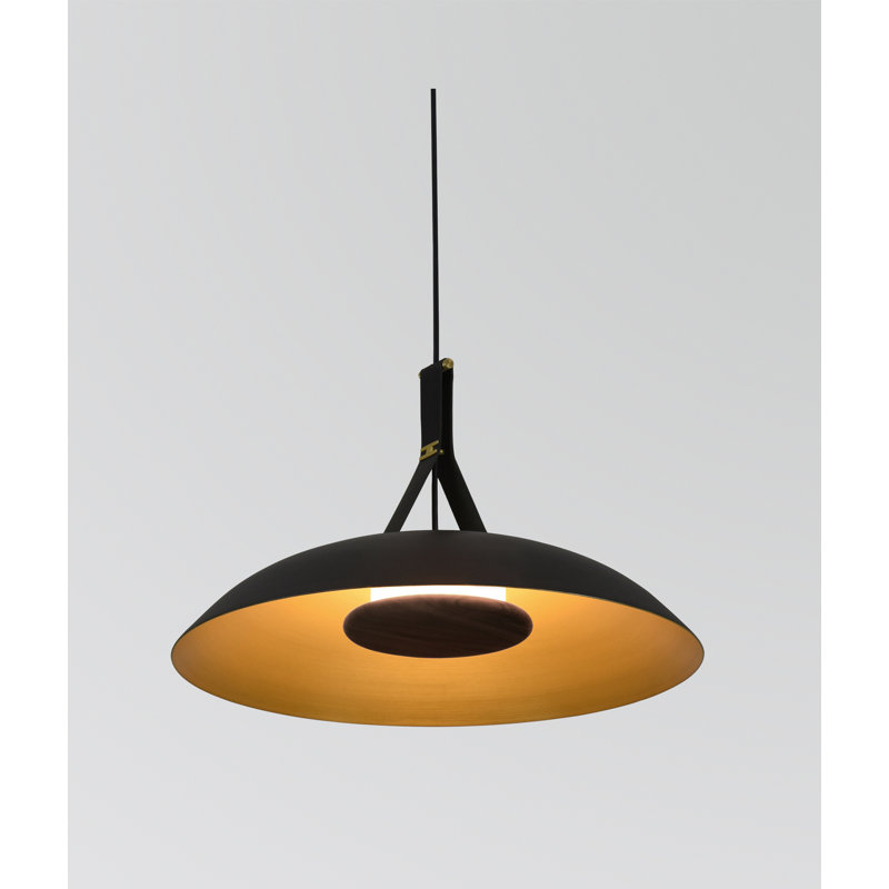 Volo 24" LED Pendant, 2700K, Noir