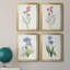 Delicate Pink I - ensemble de 4 peintures sur toile encadrées-379458561-379458575