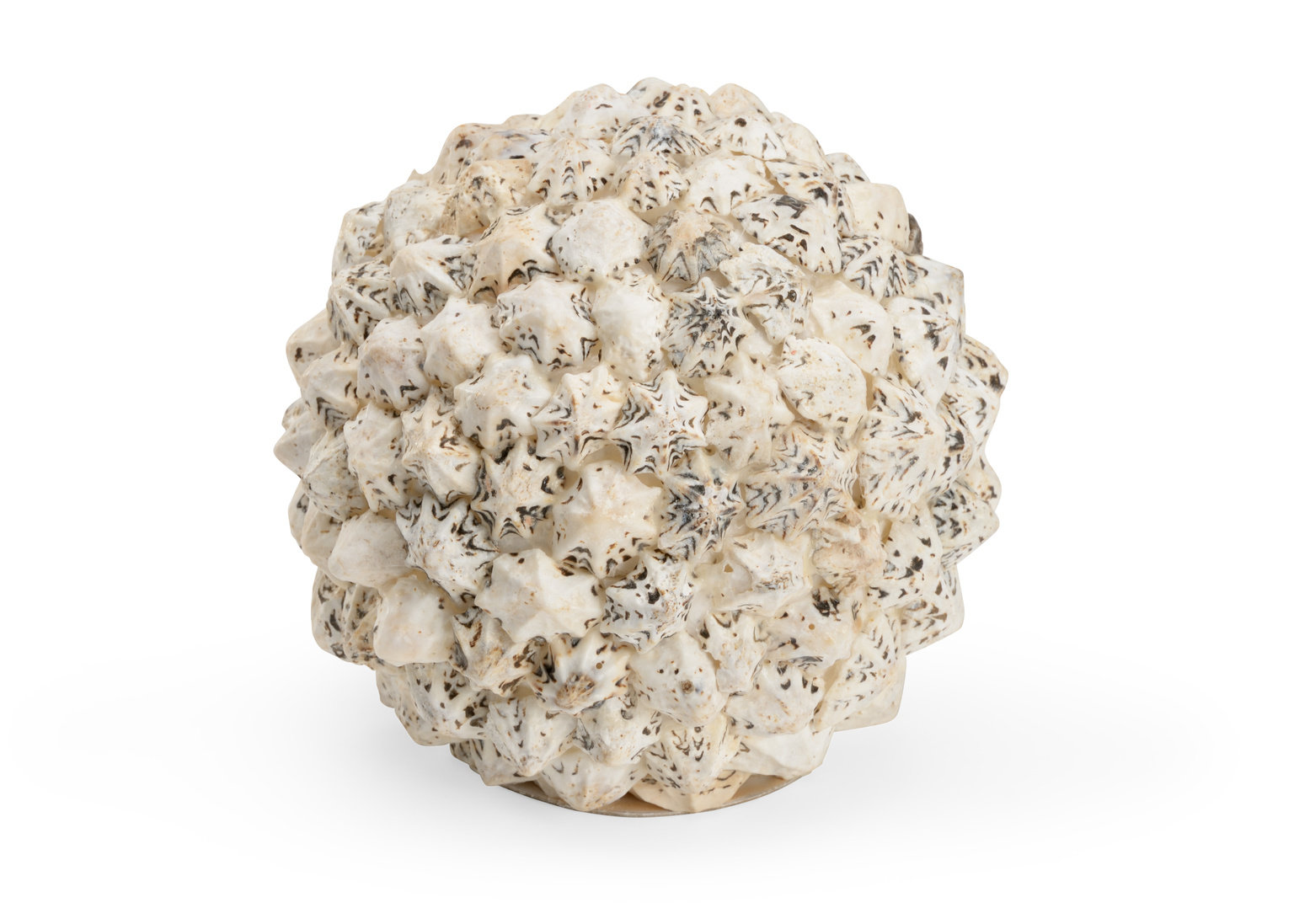 Ball Shaped Shell Chelsea House Shell Ball Sculpture | Perigold