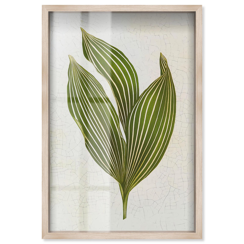 «Aged Botanica I Botanical Decor», reproduction d'ombre par Art Remedy, H 37 po x l 25 po, Crème, crème