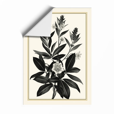 Study In Botanical - Framed Print