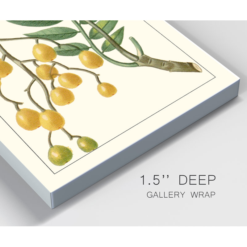 «Turpin Exotic Botanical IX», reproduction d'art sur toile tendue, H 12 po x l 8 po x P 1 po