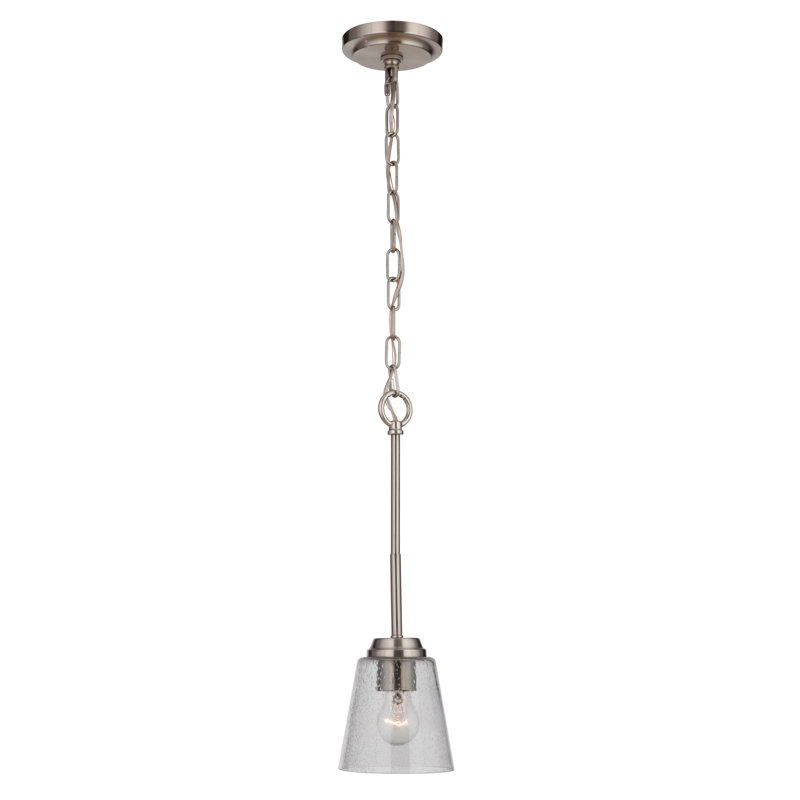 Donna 1 - Light Single Pendant, Clear Seeded, Brushed Polished Nickel