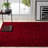 Assar Handmade Tufted Red Area Rug-23564371