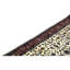 Wool Oriental Area Rug