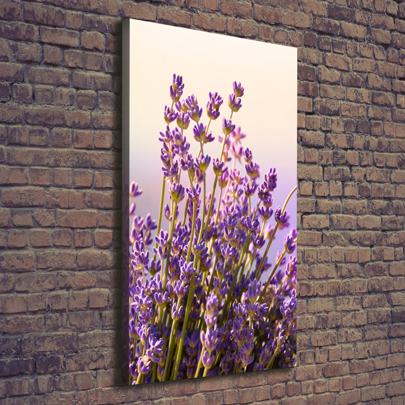 Lavender - Wrapped Canvas Art Prints