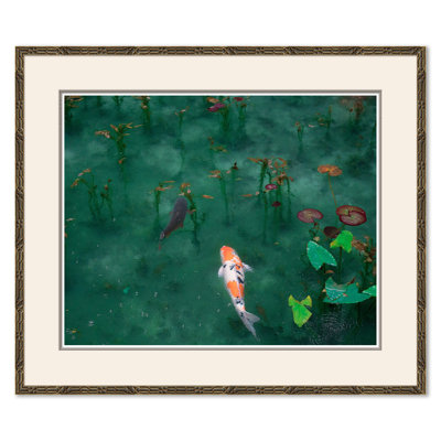 Koi Fish Pond Giclee Print