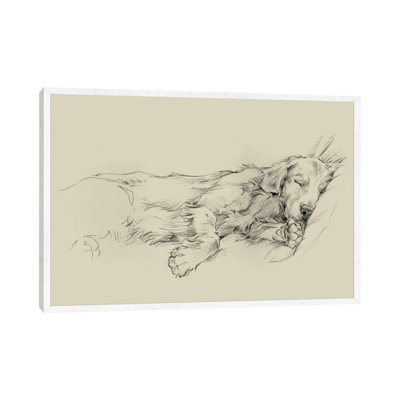 Dog Days III by Ethan Harper - Wrapped Canvas Print