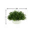 15'' Faux Boxwood Plant in Ceramic Pot