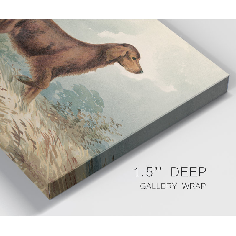 «Irish Setter I», reproduction d'art sur toile encadrée, H 24 po x l 36 po x P 1,5 po, Toile tendue