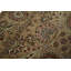 Wool Oriental Area Rug