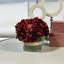 Cream Hydrangea in Rope Glass Vase-356774860