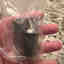 Customer photo 2 of 2