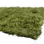 Celecot White Area Rug-1082020151-1180810068
