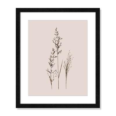 Delicate Stems I by Carol Robinson - Single Picture Frame Print -  Birch Lane™, DD55A0429D0C425A80DCB8E958247C4D