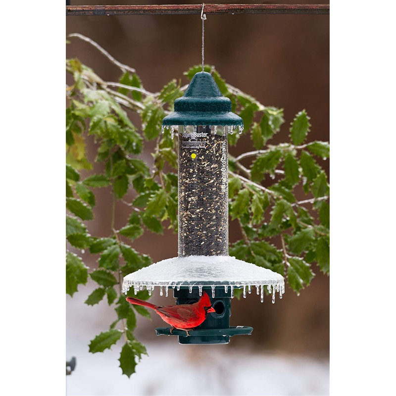 Brome Weather Guard For Squirrel Buster Plus Bird Feeder
