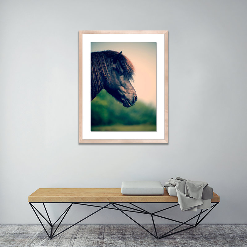 Horse Profile 5 Print by Pernille Westh, Natural, 24" H x 19" W x 1.5" D