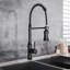 Belfry Kitchen Nolhan Pull Down Kitchen Faucet-9428214