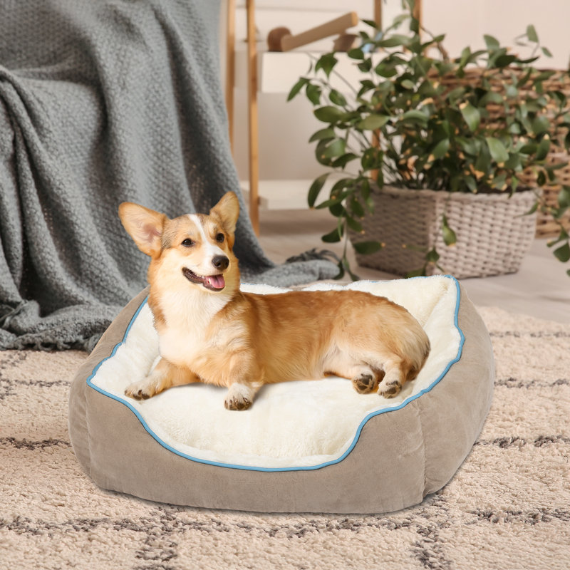 Lit pour chien, H 6 po x l 20 po x P 19 po, Marron clair