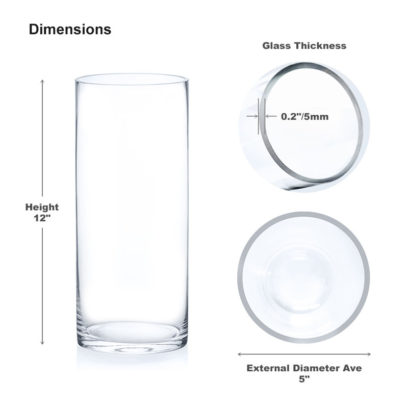 Vase à fleurs en verre transparent de 5 pouces de largeur, H 12 po x l 5 po x P 5 po