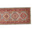 Willo Oriental Area Rug in Blue