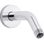 Statement Shower Arm And Flange-1006405502