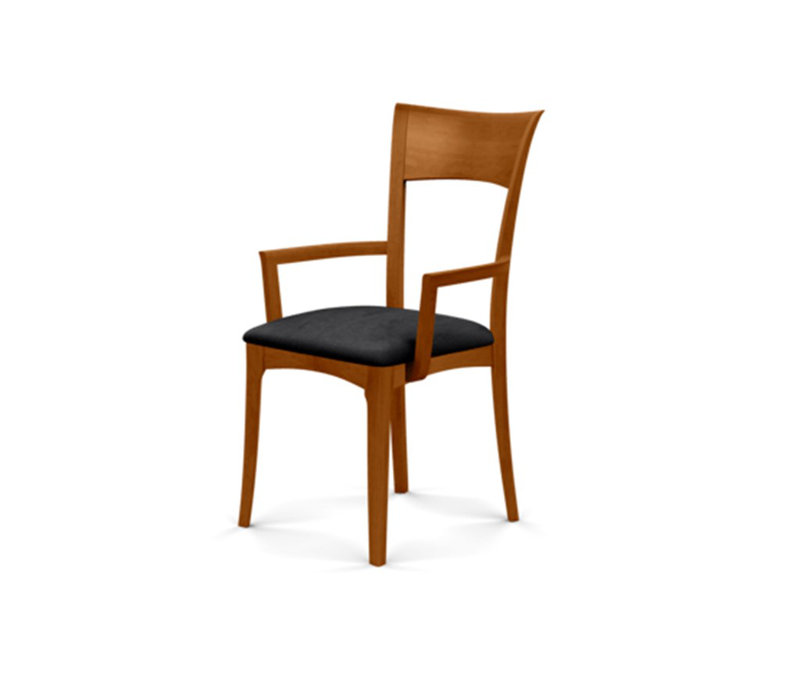 Ingrid 19.25'' H Upholstered Cherry Armchair, Autumn Cherry, Microseude Onyx