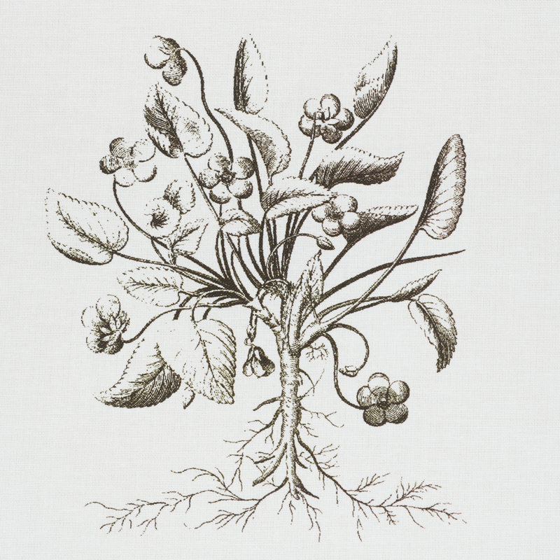 Cabot Botanical Fabric, Ivory