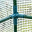 6.6 Ft W x 3.3 Ft D Mini Greenhouse-2084029784